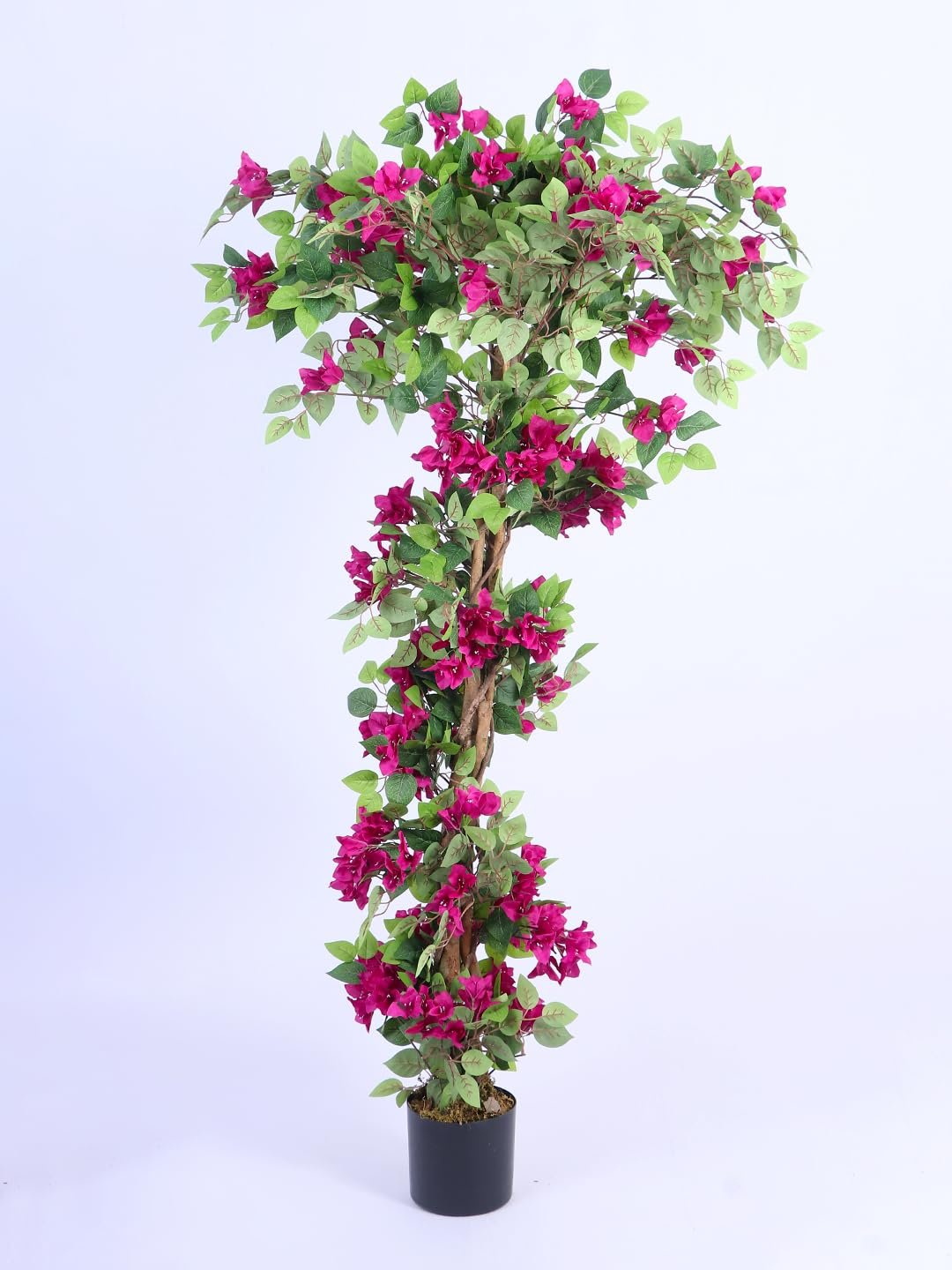 ARICK DECOR 6Ft Artificial Bougainvillea Flowers Tree in Pot, 6ft Realistic Faux Pink Silk Flower Plant, Peacock Shaped Large Floor Decor for Home, Office & Balcony - Image 2