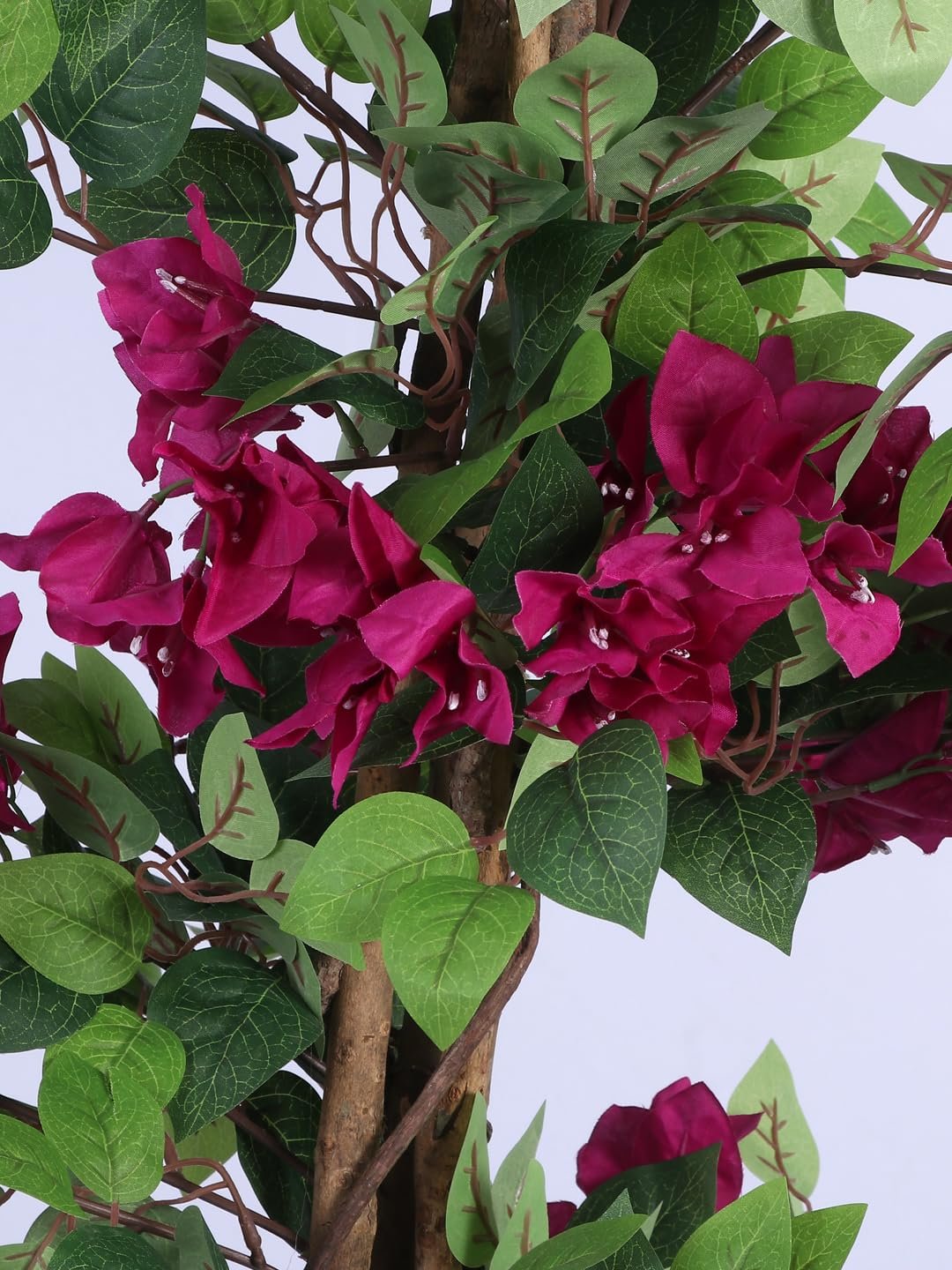ARICK DECOR 6Ft Artificial Bougainvillea Flowers Tree in Pot, 6ft Realistic Faux Pink Silk Flower Plant, Peacock Shaped Large Floor Decor for Home, Office & Balcony - Image 4