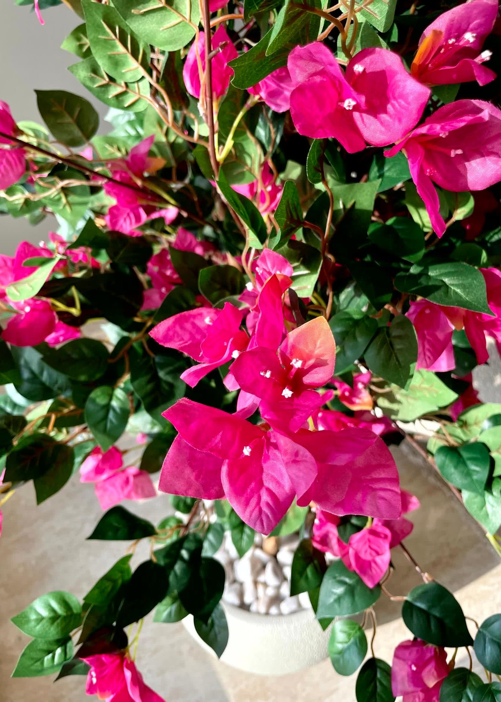 MASON HOME Artificial Bougainvillea Tree - 6 Feet | Realistic Plant - Trees - Flowers | Indoor Tropical | Home - Shop - Office | Gifting - Décor - Ambience - Durable | No Maintenance - Image 8